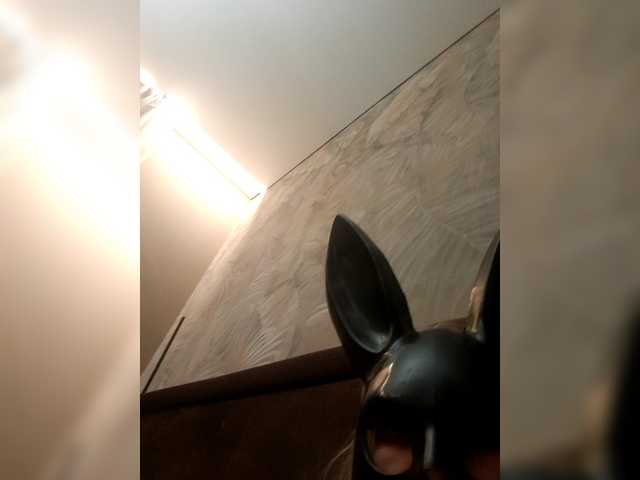 Sändningsbilder Vikysha