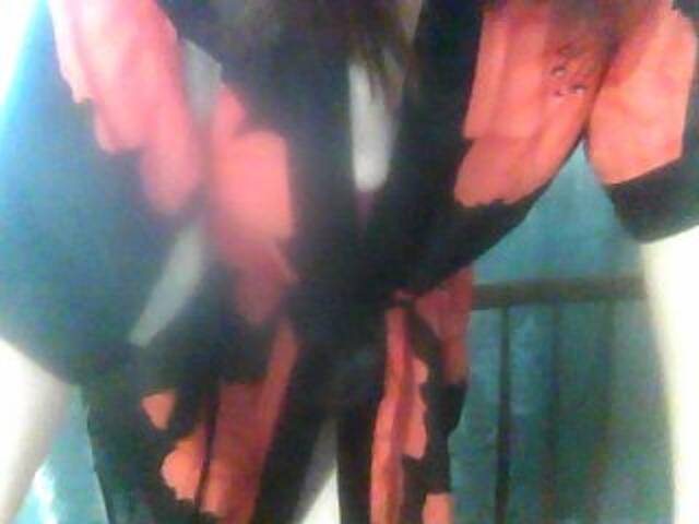 Sändningsbilder vipmalina