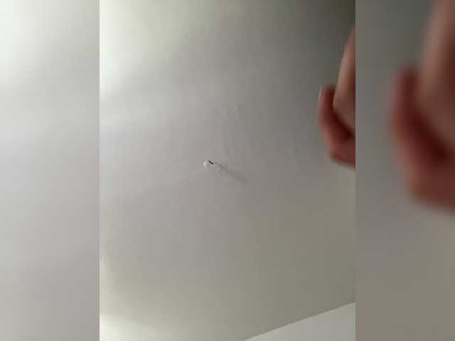 Sändningsbilder Vmeste