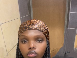 Erotisk videochatt Wildcata