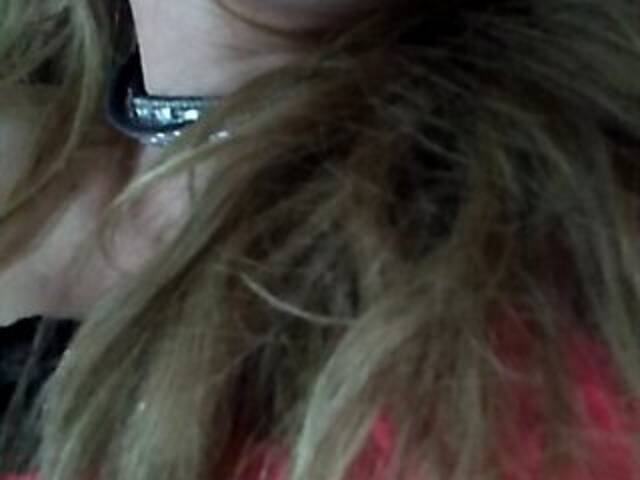 Sändningsbilder zinabelweb